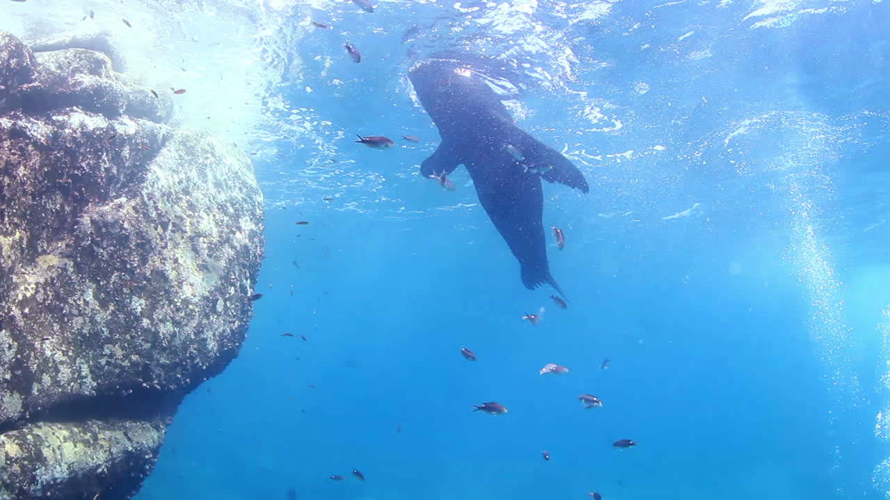 멕시코 다이빙 000