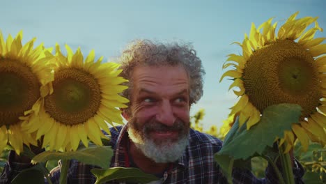 man in a sunflower field