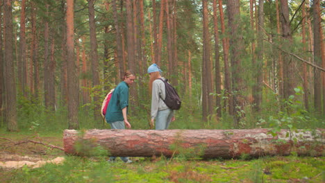 two hiker walking through lush green forest with backpacks, one with blue hair tie, other with cloth draped over red bag, warm sunlight softly filters through tall trees