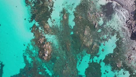 aerial topdown flying up higher turquoise waters of bunker bay in western australia