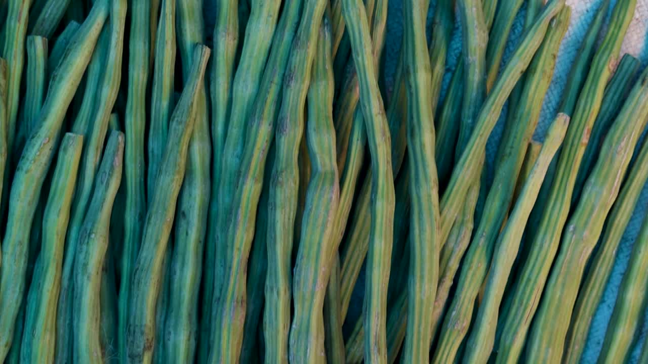 verduras orgánicas frescas de baquetas de la granja de cerca desde un ángulo diferente