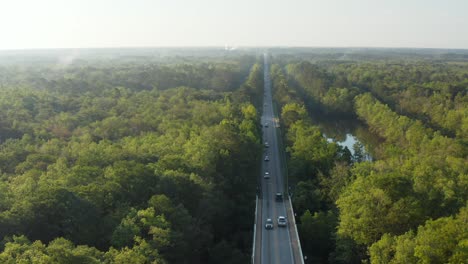 Aerial-of-marsh,-swamp-in-USA