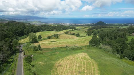 Camino-Por-Tierras-De-Cultivo-Verdes,-árboles-Y-Océano-En-Las-Azores,-Antena-Delantera