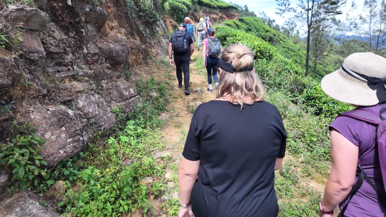 Diverse tourists hike in lush sri lankan tea plantation, exploring tropical greenery and culture on a summer vacation