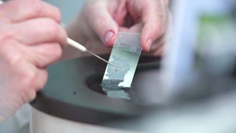 the microscope slide is coated with a preparation for examination