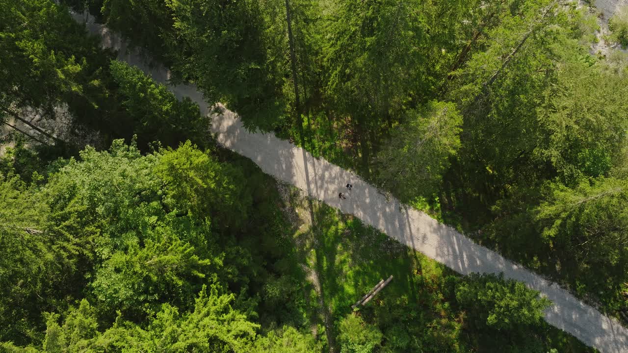 Aerial View of Two People Hiking on a Path Through a Lush Green Forest