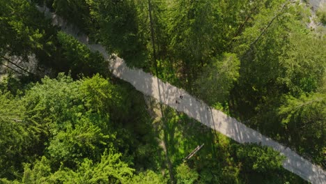 aerial view of two people hiking on a path through a lush green forest