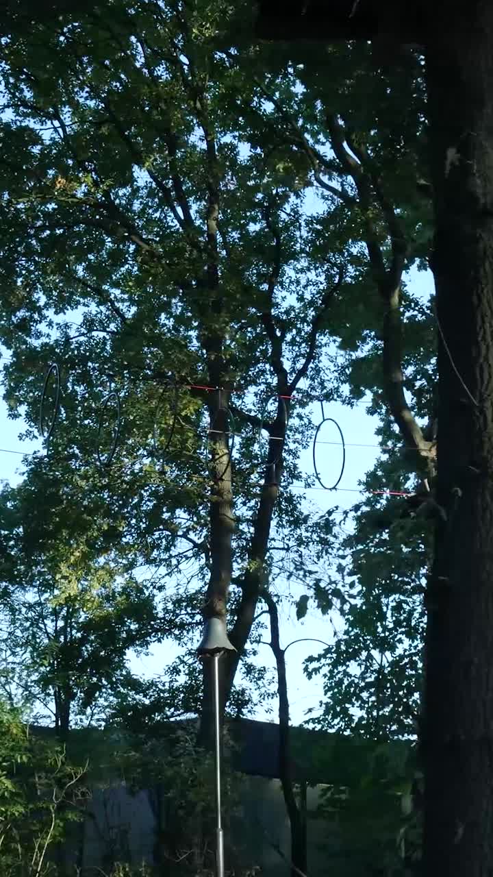 나무 꼭대기 모험 공원