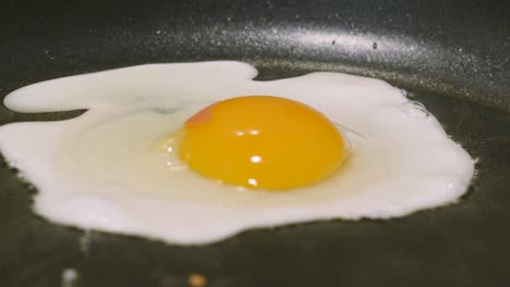 large egg frying gently in pan with yellow yolk cooked sunny side up. healthy high protein nutritious breakfast