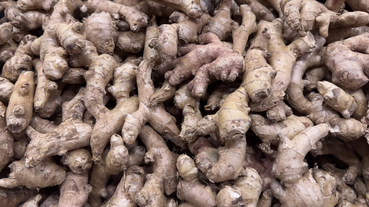 un montón de raíces de jengibre frescas