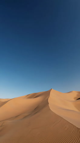 paisaje de dunas de arena del desierto
