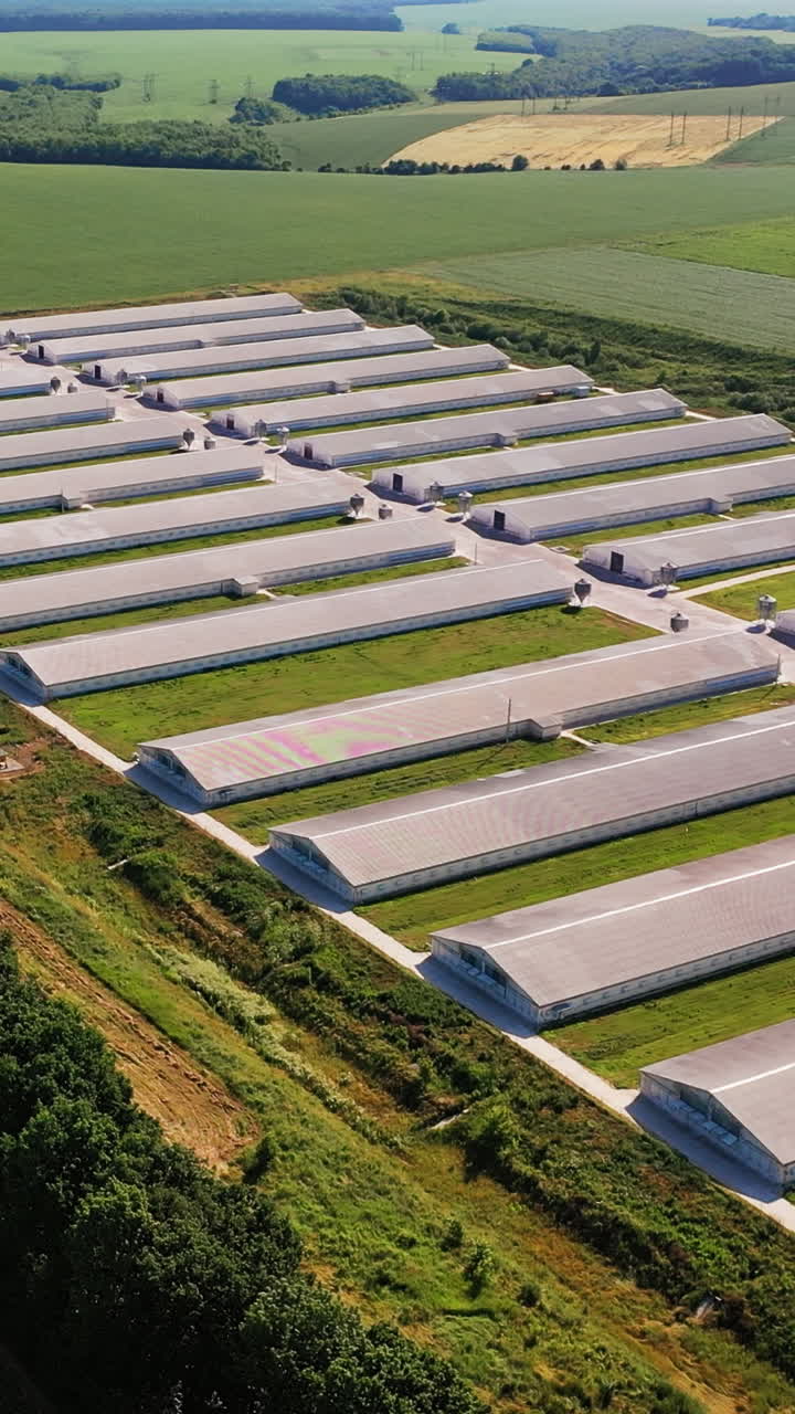 White long barns at the present-day farming complex. Agribusiness plant for breeding domestic animals aerial view. Green plantations backdrop. Vertical video