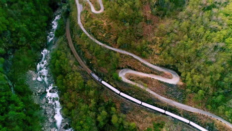 Train-rolling-down-the-railroad-tracks-in-a-forest-between-a-river-and-a-winding-road---aerial-flyover