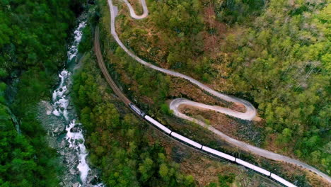 train rolling down the railroad tracks in a forest between a river and a winding road - aerial flyover