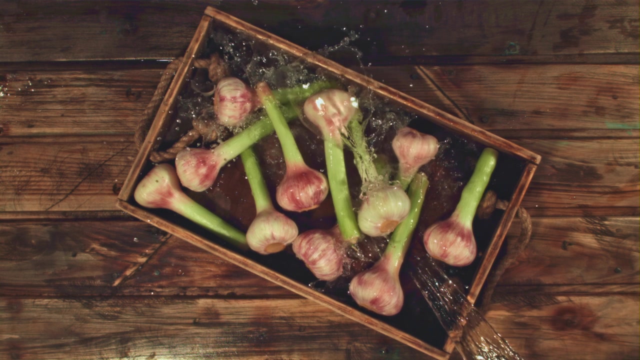 Water Rinsing Fresh Garlic Bulbs with Green Stems in a Wooden Tray