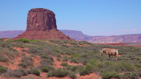 Los-Caballos-Pastan-Con-La-Belleza-Natural-De-Monument-Valley-Utah-En-El-Fondo