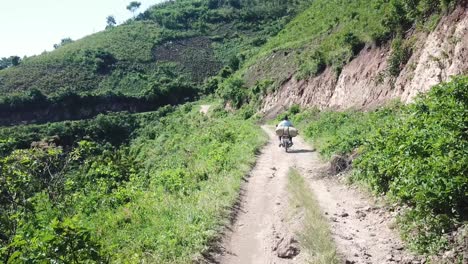 Worker-on-motorbike-is-transporting-coffee-beans-bag