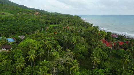 Filmische-Luftaufnahme-Von-Palmenhainen-Und-Häusern-Auf-Der-Berühmten-Insel-Koh-Lanta-In-Thailand,-Asien