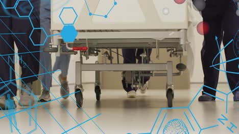 animation of chemical formula over diverse doctors at hospital