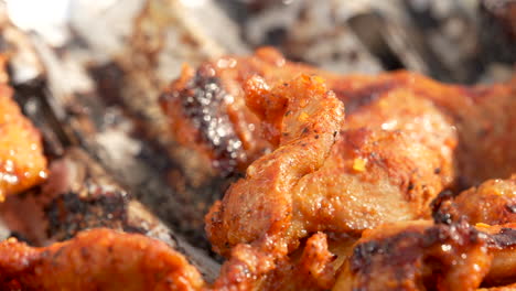 Ultra-Close-Up-Macro-Shot-of-Delicious-Grilled-Chicken-Smothered-in-Sweet-BBQ-Sauce-Outdoors-for-Lunch-or-Dinner---static-outdoors