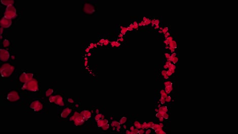 el corazón de los pétalos de rosa