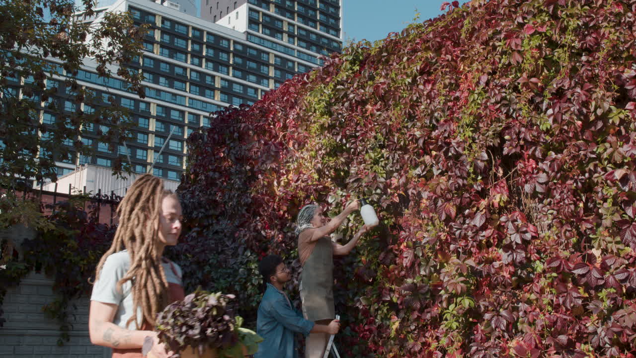 도시의 도시 정원