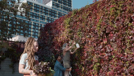 urban garden in the city