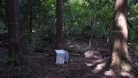 nevera tirada en medio del suelo del bosque, contaminación