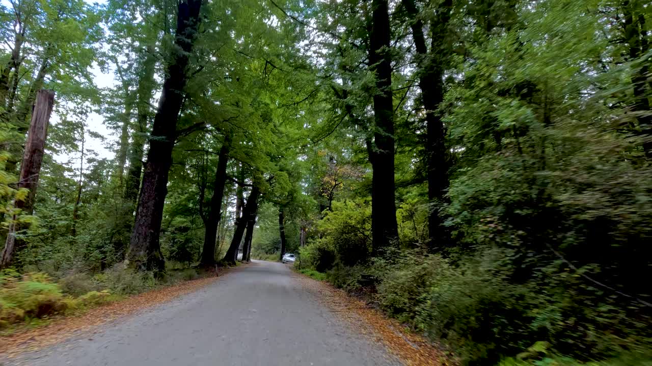 Vehicle travels down tree-lined gravel road, approaching parked car, with natural daylight and smooth motion