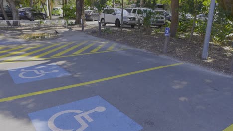 plazas de estacionamiento vacías para discapacitados en la playa de currumbin