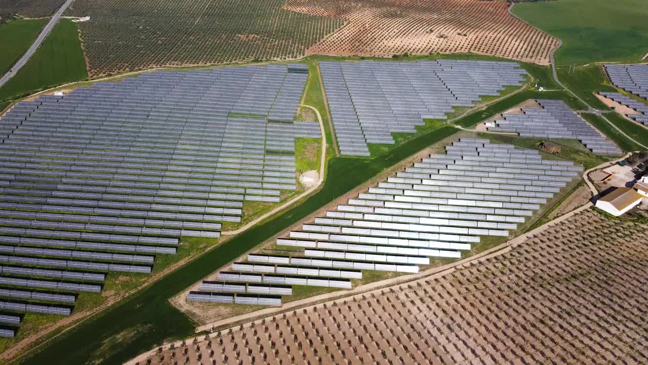Aerial View of a Large Solar Farm Surrounded by Olive Groves