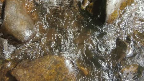 slowmotion view of water and stones in the ardennes, houffalize, belgium, europe, filmed in 2.7k, 100fps