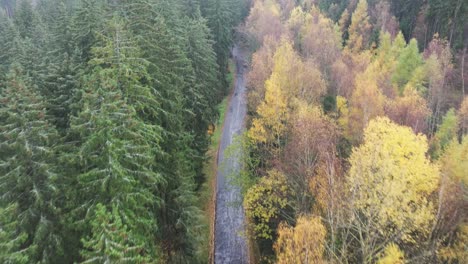 Descenso-Aéreo-Sobre-El-Follaje-Colorido-De-Las-Copas-De-Los-árboles-De-Los-Bosques-De-Hoja-Perenne-Y-De-Otoño