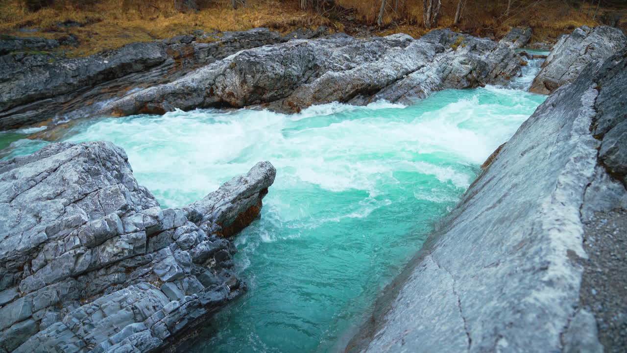 bucle de vídeo sin fisuras de cinemagraph de un cañón de cascada de río de montaña escénico e idílico con agua azul fresca en los alpes austriacos bávaros, fluyendo por un hermoso bosque a lo largo de árboles y rocas