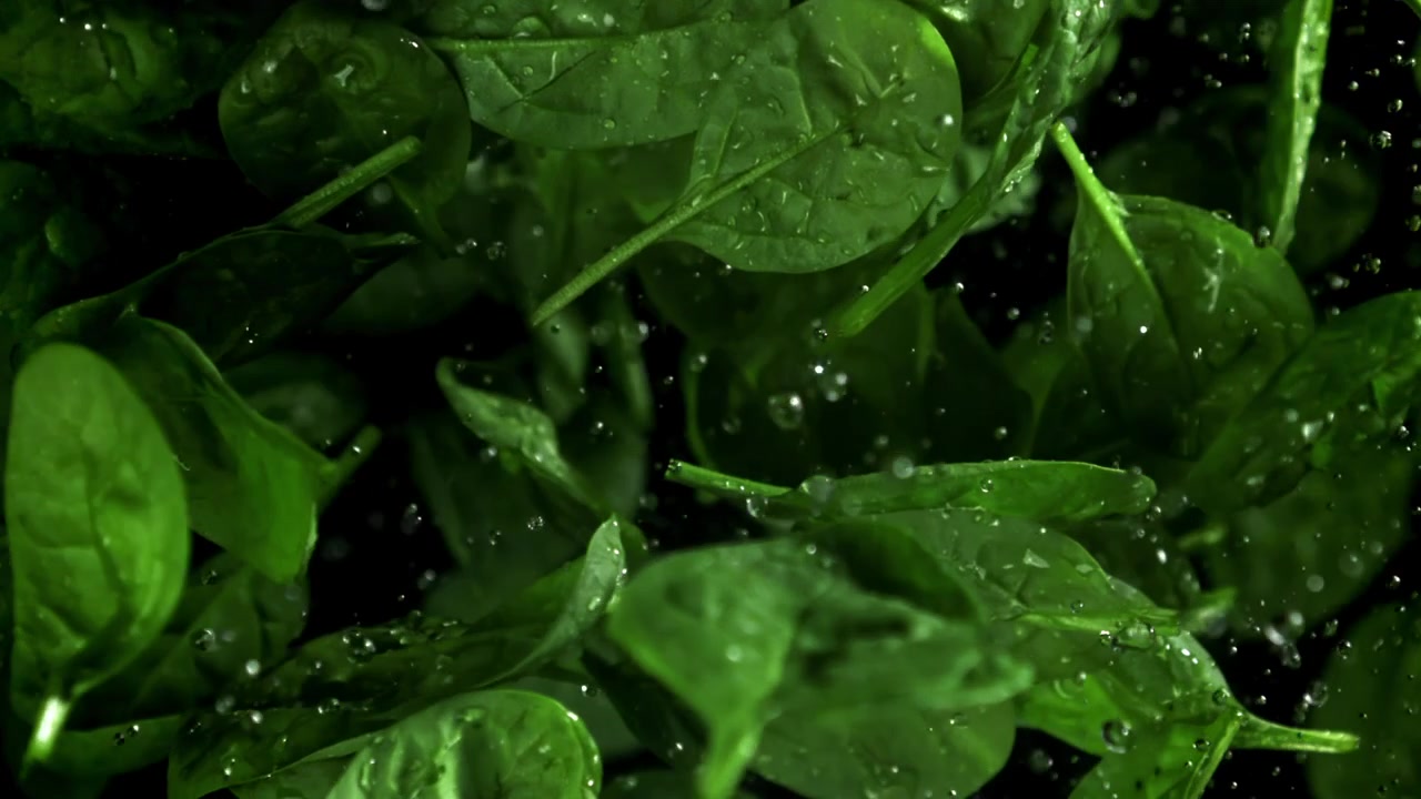 Foglie di spinaci fresche e verdi che cadono con goccioline d'acqua al rallentatore