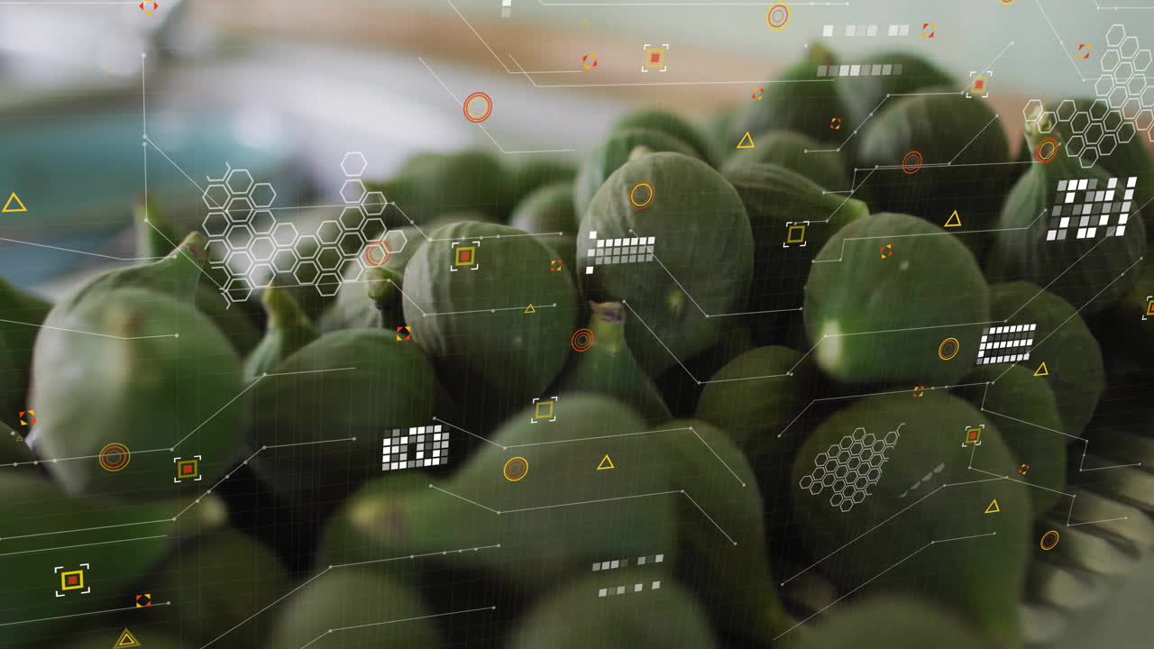 Green fig cluster displaying futuristic HUD overlay in scene, with hexagonal grids and data icons