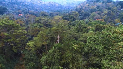 Aerial-view-of-the-Morogoro-rock-garden-17