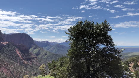 Vista-Panorámica-Del-Cañón-Kolob-En-El-Parque-Nacional-Zion,-Utah