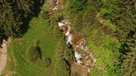 Luftaufnahme-Eines-Kleinen-Gebirgsbachs,-Umgeben-Von-Einem-Grünen-Wald-Und-Einer-Wiese