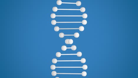 3d animation of rotating dna model