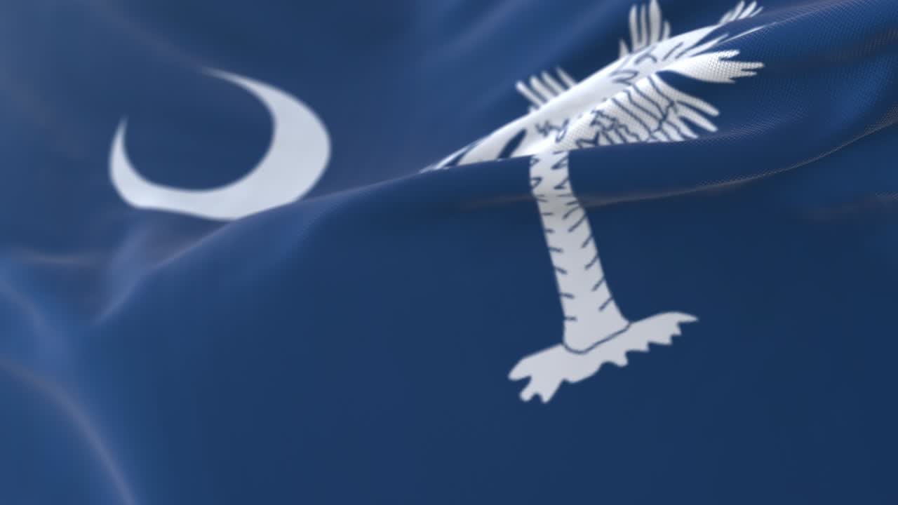 bandera del estado estadounidense de carolina del sur, región de los estados unidos.