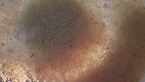 close-up of white rice grains