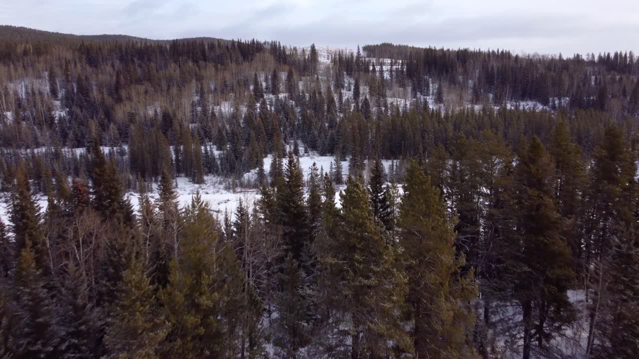 Foresta invernale canadese vista a volo d'uccello in inverno.