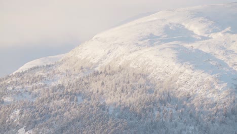 冬季風景 - 挪威雪地森林和山脈的空中景色