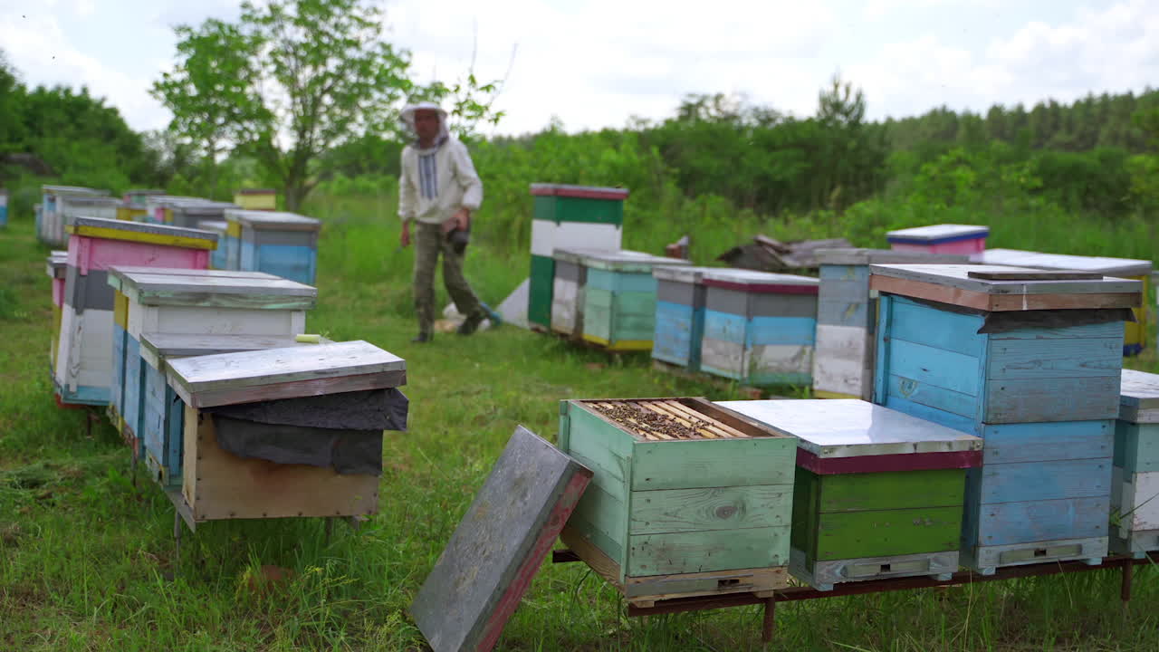 Beekeeper on apiary. Farmer is working with beehives on green nature background. Rows of wooden hives on grass. Beekeeping concept.