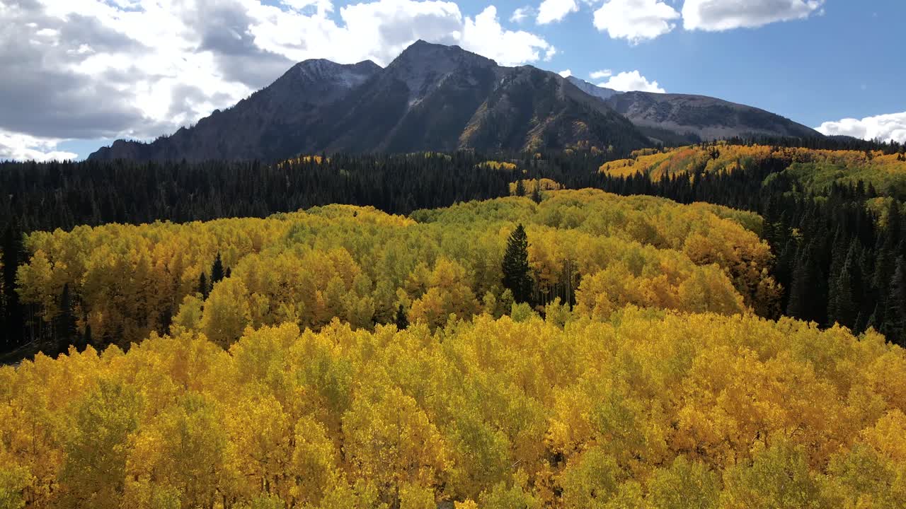 Volando sopra pioppi tremuli gialli vicino al monte East Beckwith, Colorado