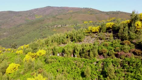 vista de seguimiento de drones de excursionistas en el parque natural fisgas portugal un hermoso día soleado