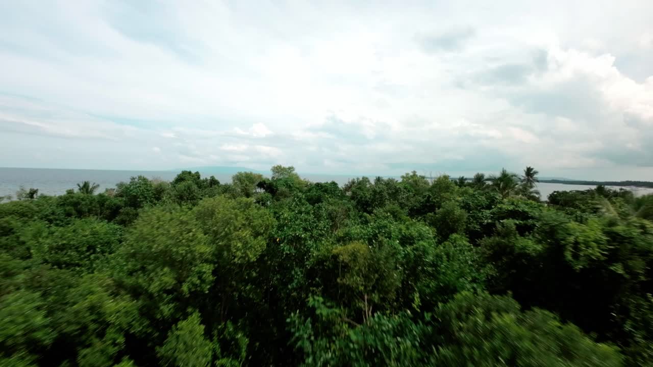 sobrevuelo de drones entre grúas en la densa jungla tropical en la isla de bohol, disparo de drones fpv