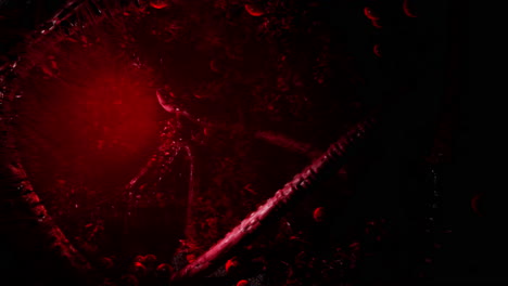 dark forest with red lights and spooky atmosphere