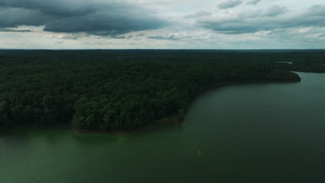 scenery of dense thicket at dawn in long hunter state park, tennessee, united states
